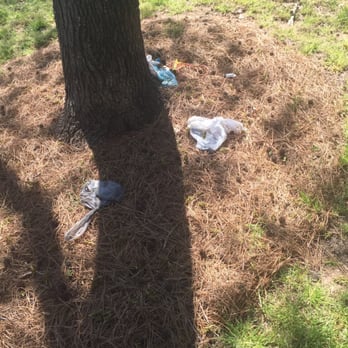 Treasured Property - Dog crap ok they take the time to pick it up but just throw it where ever. Wasn't anyway to police it he says. - Property Management Near Me - Durham, North Carolina