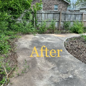 Tree & Yard Handling - After Tree & Yard Handling - Tree Services Near Me