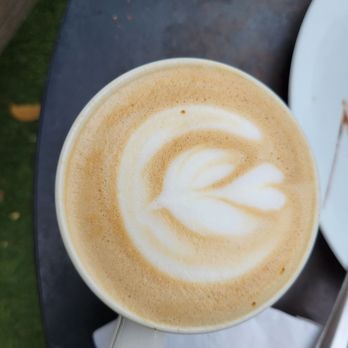 Commonwealth Coffeehouse & Bakery - Honey lavender - Coffee & Tea Near Me - San Antonio, Texas