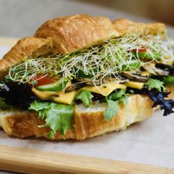 The Rolling Cup - Calling all Vegetarians! Try our new All-Veggie Sandwich in a pressed Croissant! Always freshly made!