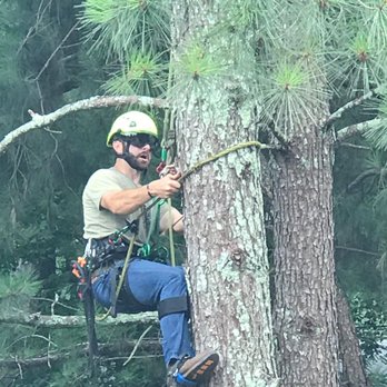 LTRC-Tree Specialists - Tree Services Near Me - Alpharetta, Georgia