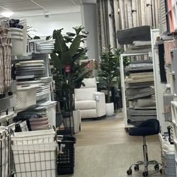 Home Goods - Plants
