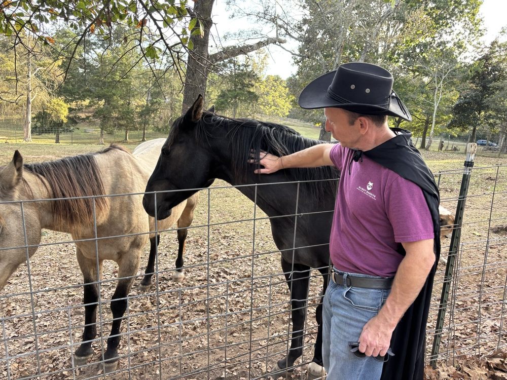 Social spots from Brecht Stables & Dustin's Place