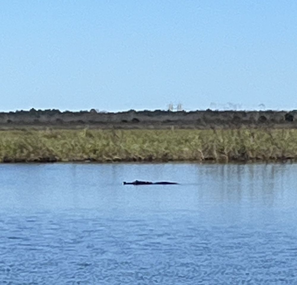 Twister Airboat Rides