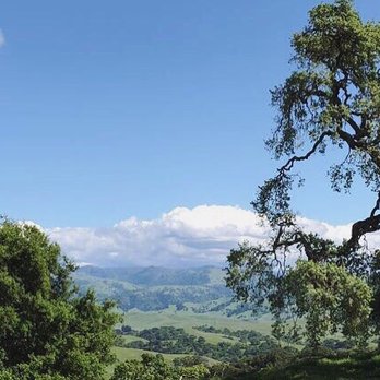 Pleasanton Ridge Regional Park - Parks Near Me - Pleasanton, California