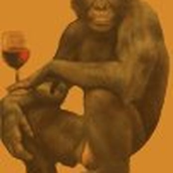 The Wooden Monkey - As displayed on thewoodenmonkey.ca - Bars Near Me - Halifax, Nova Scotia