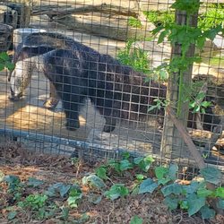 Happy Hollow Park and Zoo
