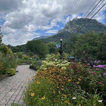 Lake Lure Flowering Bridge - Botanical Gardens Near Me - Lake Lure, North Carolina Lake Lure Flowering Bridge - Botanical Gardens Near Me - Lake Lure, North Carolina