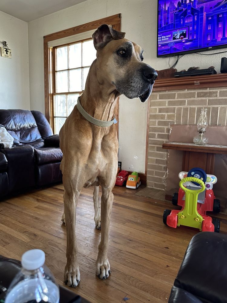 COLEMAN VETERINARY CLINIC Updated September 2024 11 Reviews 1001