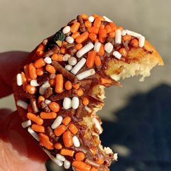 Daily Dozen Doughnut