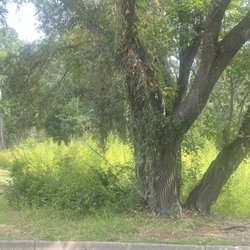 Todds Lawn Care - Before