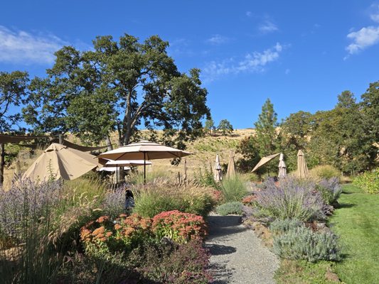 Syncline Winery by null