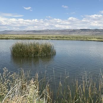 Crane Hot Springs - Hot pond on property next to the hot pools - Resorts Near Me - Burns, Oregon