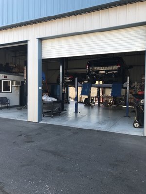 Rodriguez Transmission