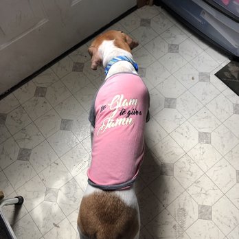 Petco - Got this T-shirt here today! - Pet Training Near Me - Omaha, Nebraska Petco - Got this T-shirt here today! - Pet Training Near Me - Omaha, Nebraska