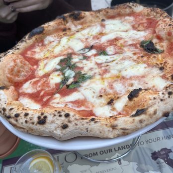 BELLILLO - A Taste of Napoli - Margarita pizza - Pizza Near Me - Miami, Florida