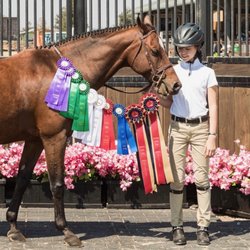 Another successful show for our daughter and her pony. Thanks Holly Charlbois/Kilham Farm.