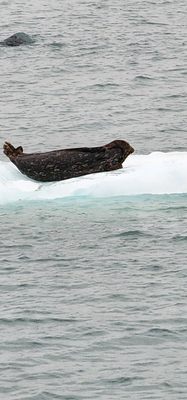 Grand Circle Travel by null