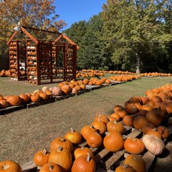 Durham Highway Fire And Rescue Pumpkin Patch - Pumpkins and photo ops