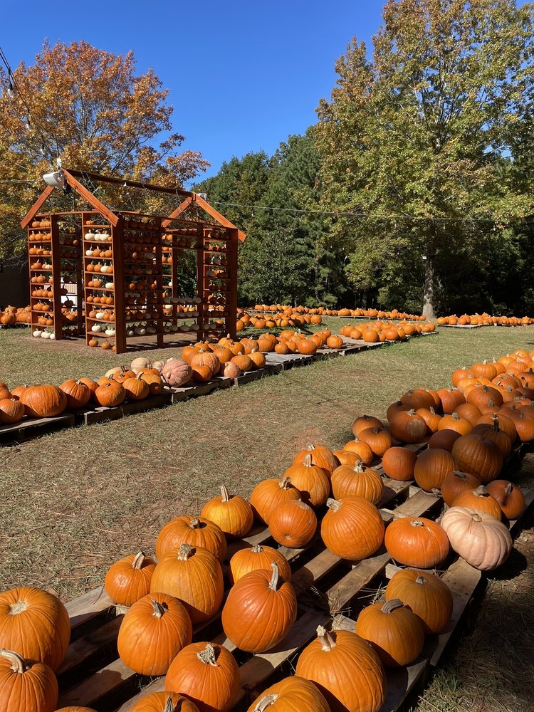 DURHAM HIGHWAY FIRE AND RESCUE PUMPKIN PATCH Updated September 2024