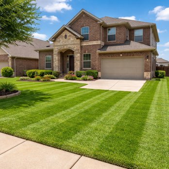 Busy Beaver - Lawn Services Near Me Busy Beaver - Lawn Services Near Me