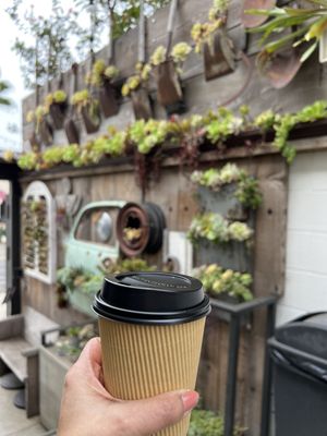 Succulent Coffee by null