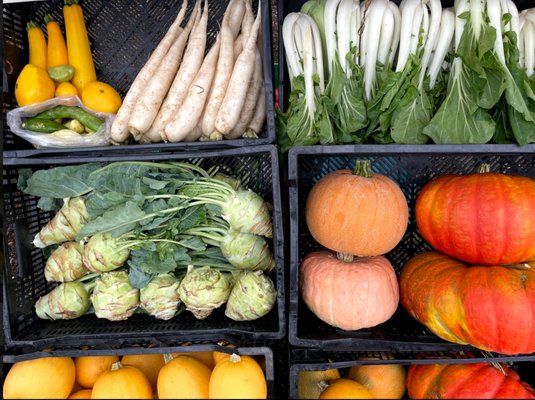 Montavilla Farmers Market by null