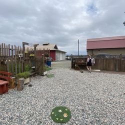 Honeybee Centre