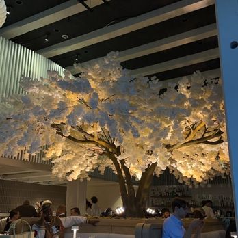 Janken - Japanese Near Me - Portland, Oregon Janken - Japanese Near Me - Portland, Oregon