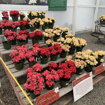 The Flower Fields - Venues & Event Spaces Near Me - Carlsbad, California The Flower Fields - Venues & Event Spaces Near Me - Carlsbad, California