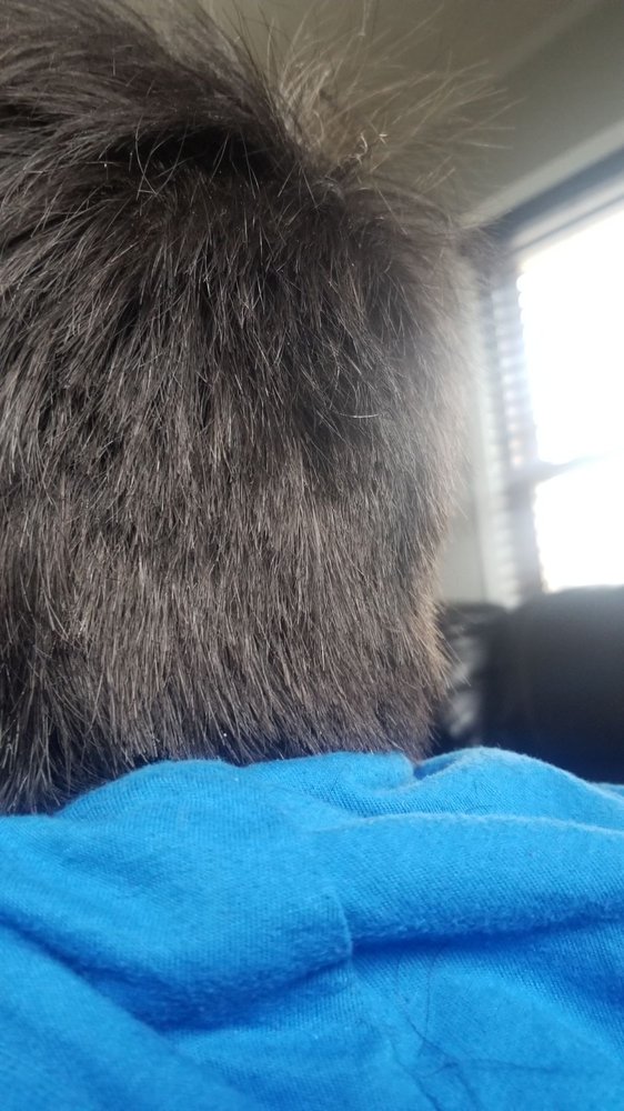 COST CUTTERS Updated September 2024 928 S Main St, Fond Du Lac