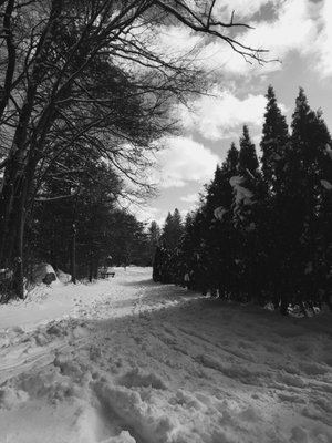 Benson Park by null