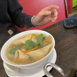 Dumpling soup