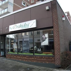 Orchidea