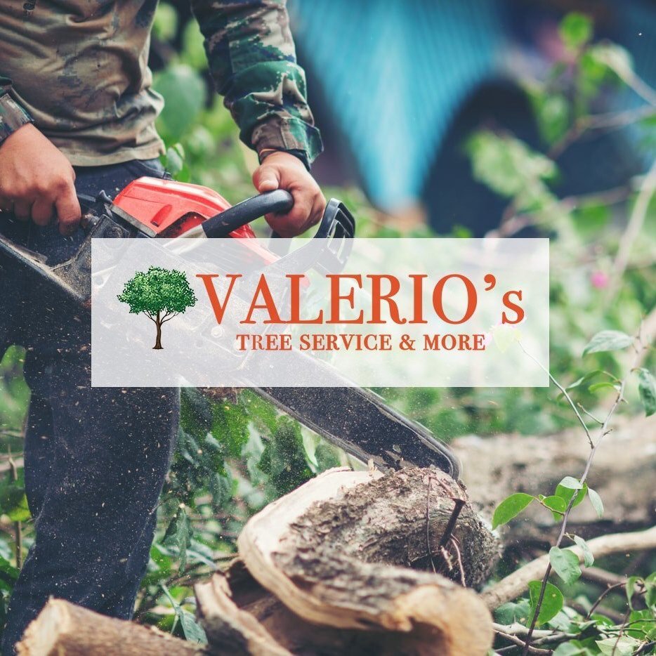 Valerio's Tree Service and More - tree service in Houston, TX