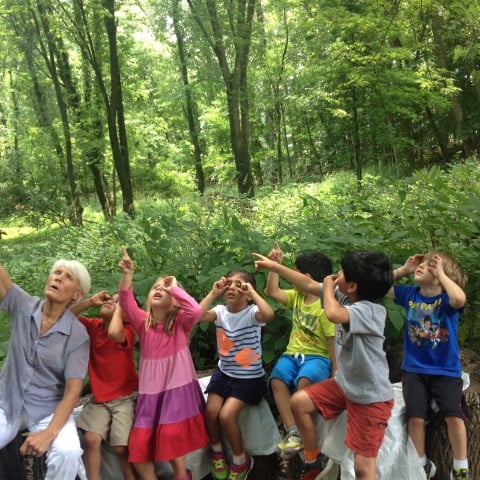 The Sundance School - childcare center in North Plainfield, NJ