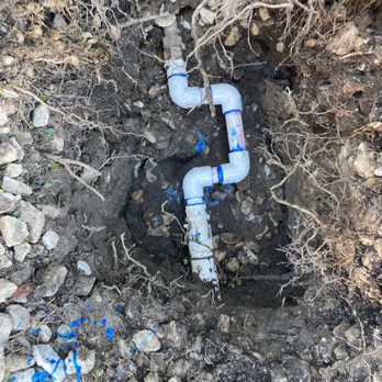 The Snake Charmer - Plumbing Near Me - Largo, Florida