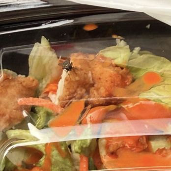 Zaxbys - Flies in my food - Chicken Wings Near Me - Port St Lucie, Florida Zaxbys - Flies in my food - Chicken Wings Near Me - Port St Lucie, Florida