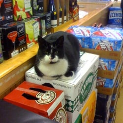 Kettering Liquors & Cheese Shoppe - Beer Kitty