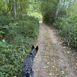 Elwha Dam RV Park - Walking path
