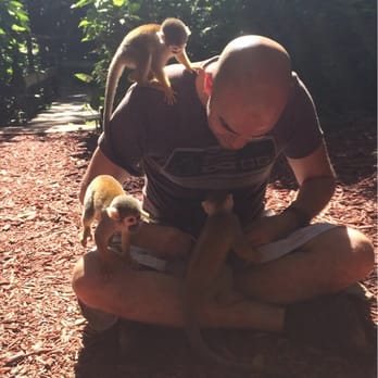 Monkey Jungle - Zoos Near Me - Miami, Florida