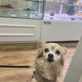 Perfect Sweets in Auburndale - Desserts Near Me - Queens, New York Perfect Sweets in Auburndale - Desserts Near Me - Queens, New York