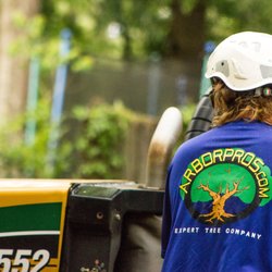 Arbor Pros Expert Tree Company - Arbor Pro Stump Grinder machine is a Vermeer