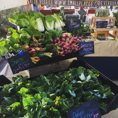 Finca Tres Robles by null