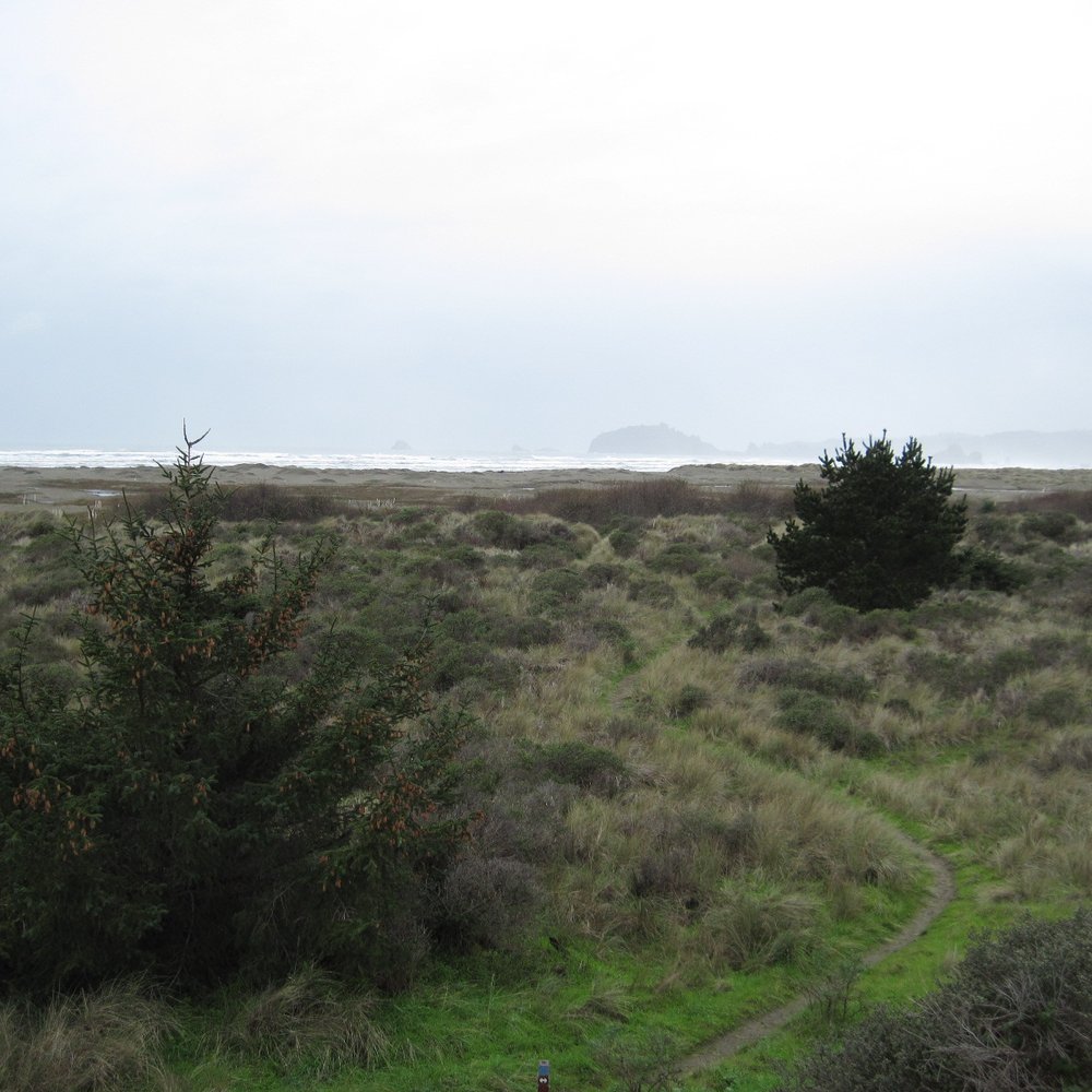 Little River State Beach - out to the ocean - Beaches Near Me Little River State Beach - out to the ocean - Beaches Near Me