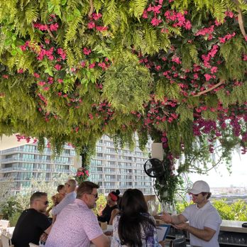 Azure at EDITION - Beautiful canopy of flowers above the bar outside at Azure. - Greek Near Me - Tampa Bay, Florida Azure at EDITION - Beautiful canopy of flowers above the bar outside at Azure. - Greek Near Me - Tampa Bay, Florida