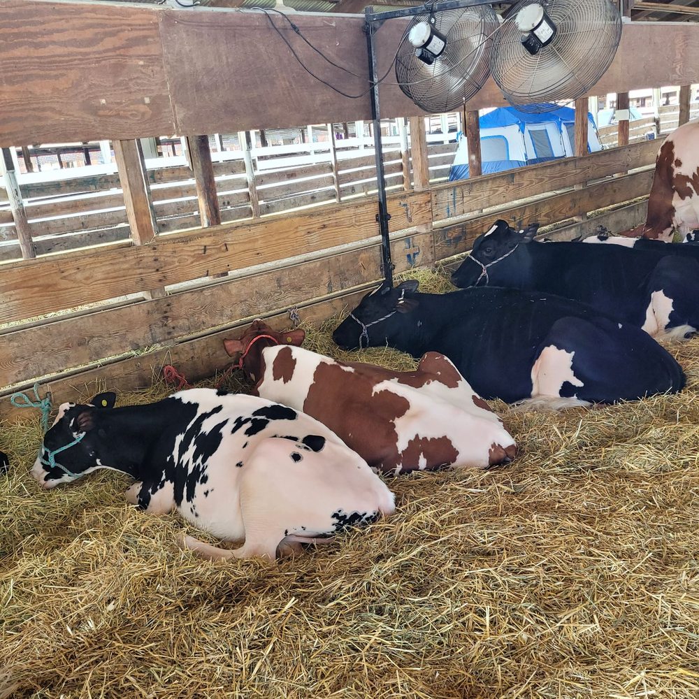 Illinois State Fair - Festivals Near Me - Springfield, Illinois