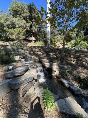 UCLA Mathias Botanical Garden by null