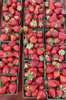 South Pasadena Farmer's Market by null