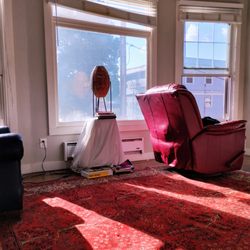 Rarebird Property Management
